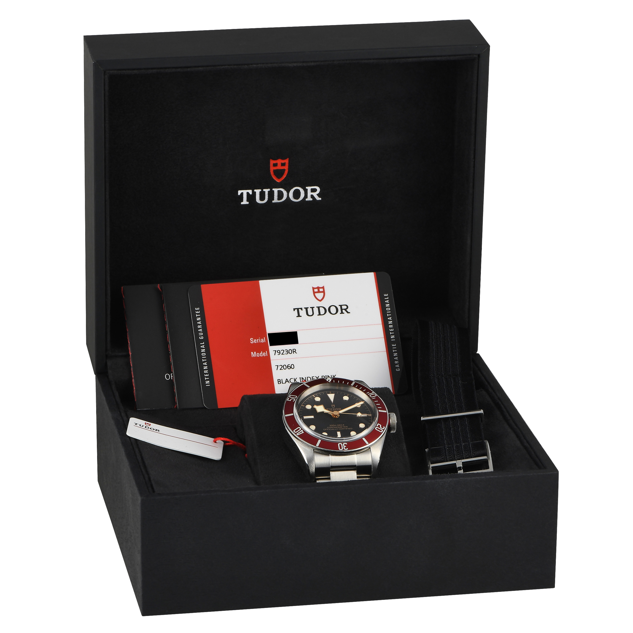 Tudor Heritage Black Bay Watch 79230R - Image 5