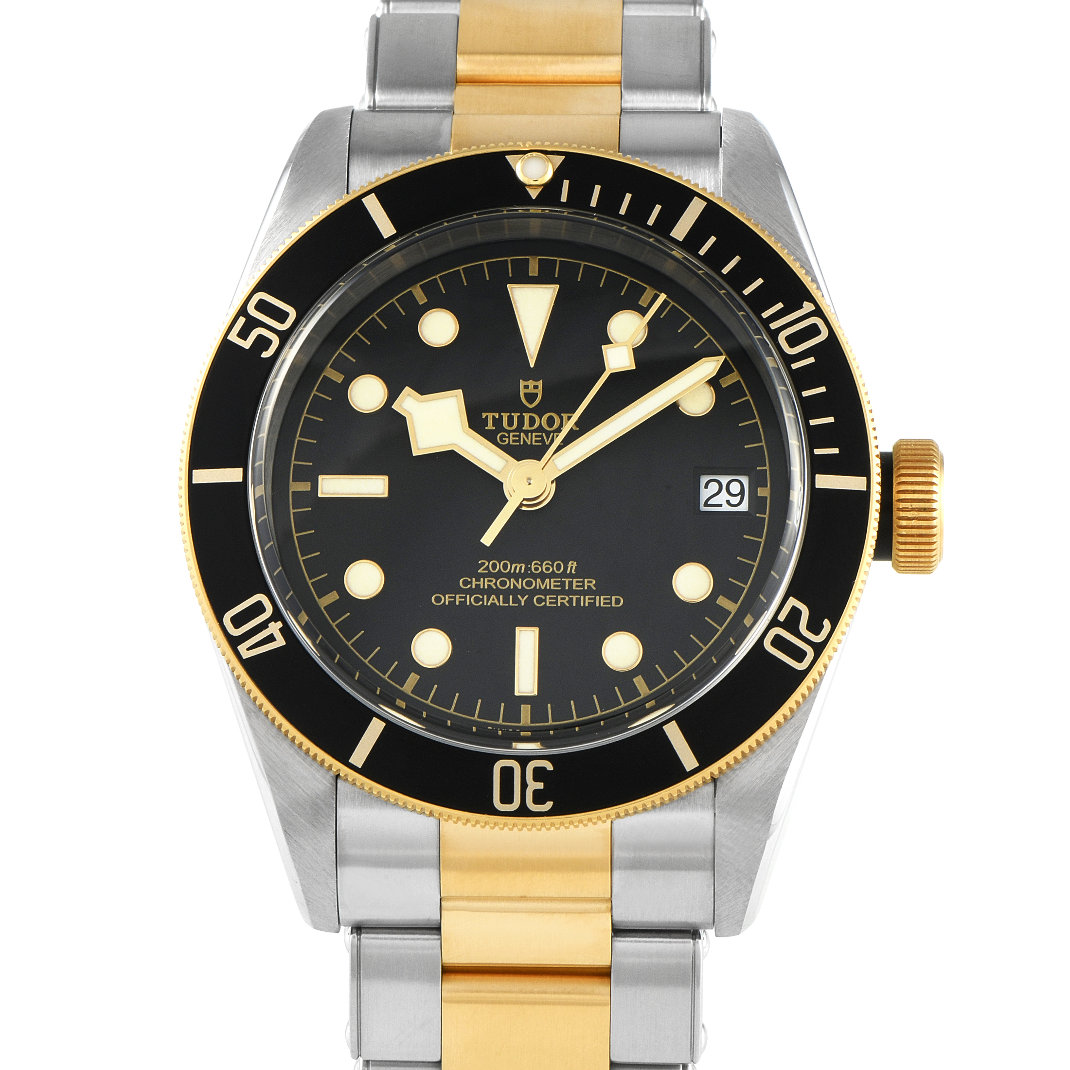 Tudor Black Bay Two-Tone Watch 79733N