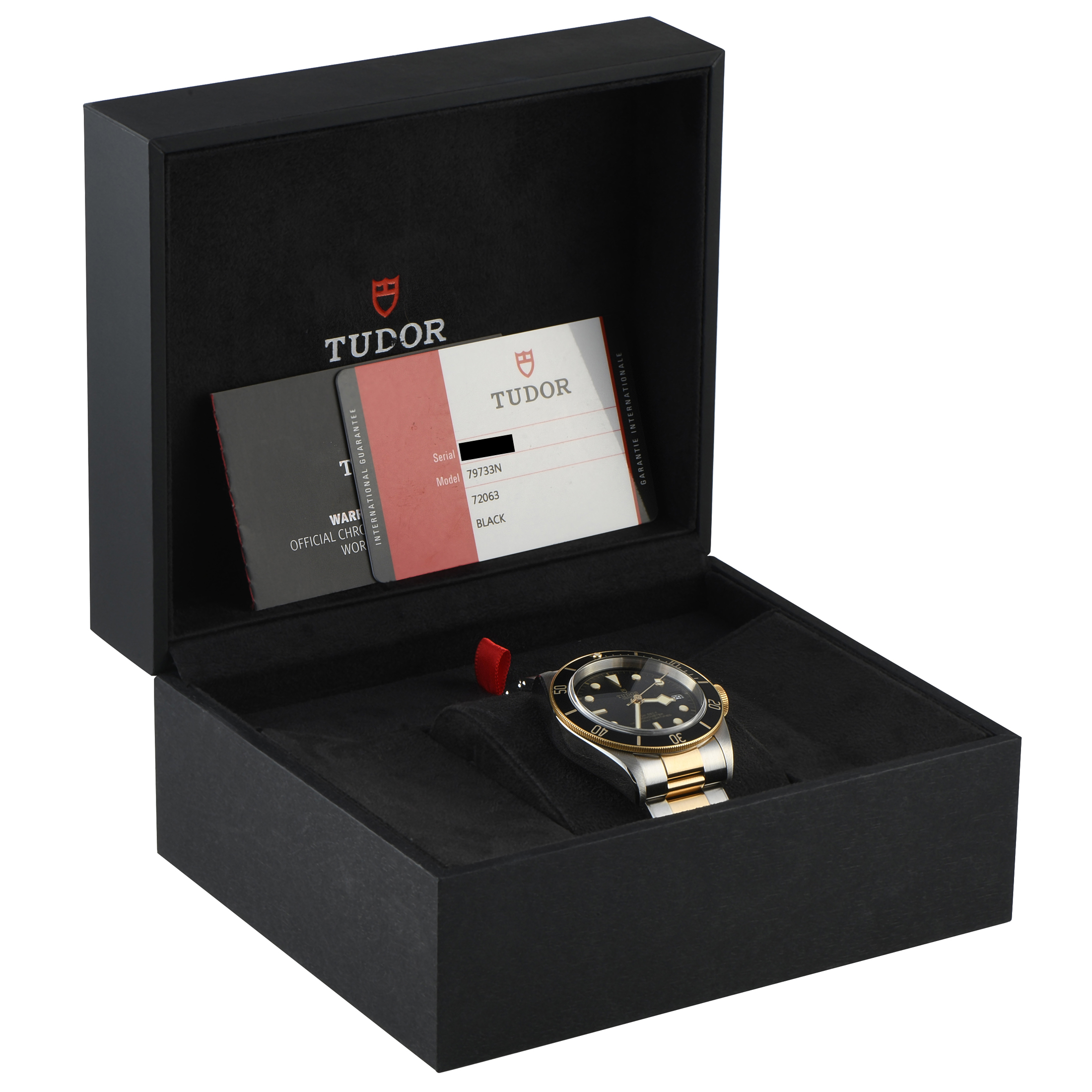 Tudor Black Bay Two-Tone Watch 79733N - Image 5