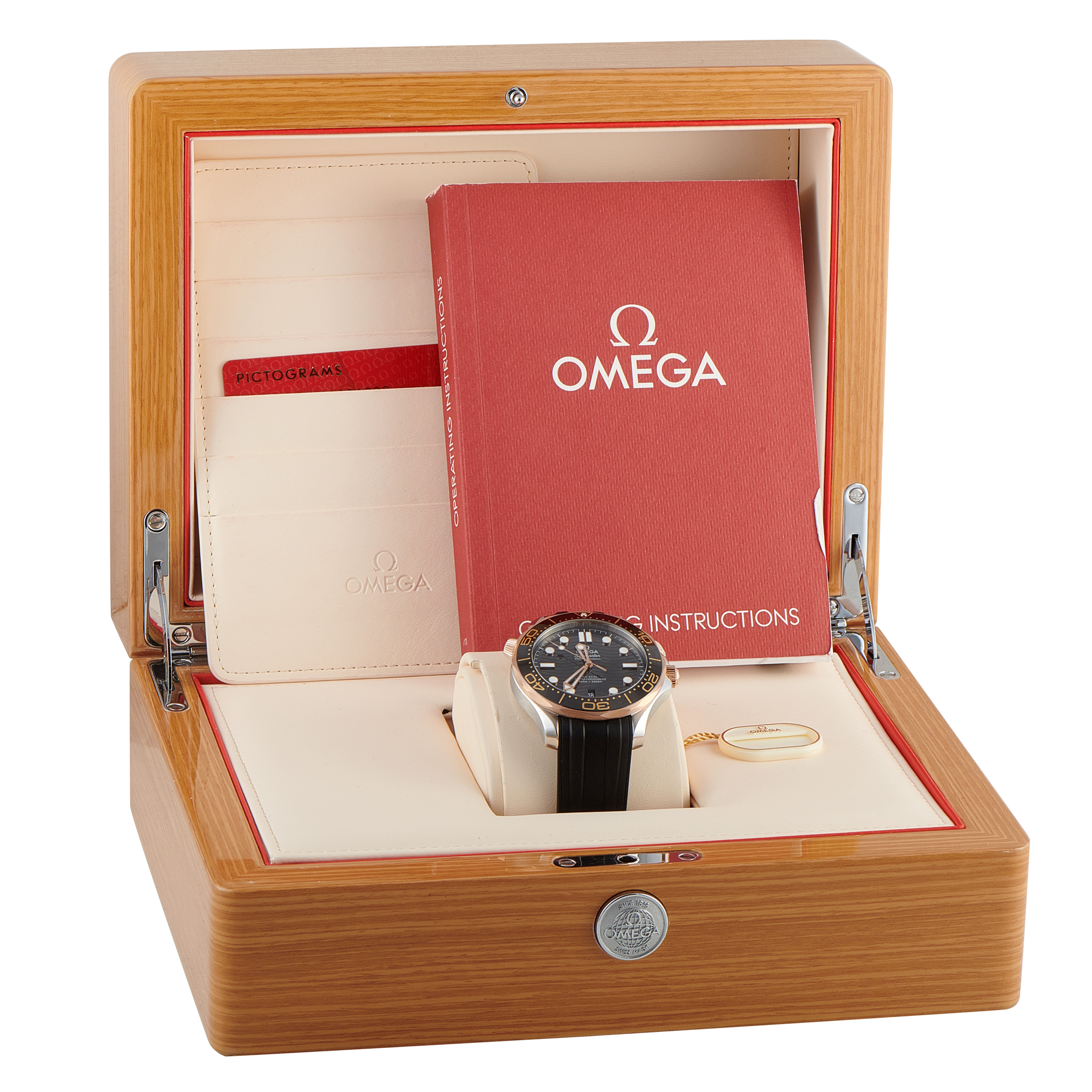 Omega Seamaster Diver 300M Steel and Sedna™ Gold Watch 210.22.42.20.01.002 - Image 5