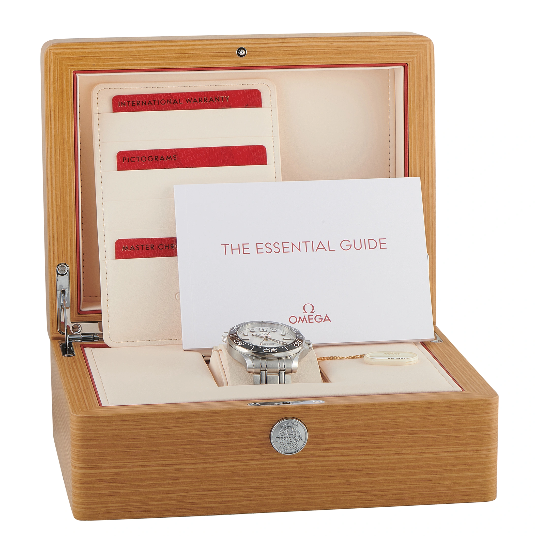 Omega Seamaster Diver 300M Steel Watch 210.30.42.20.04.001 - Image 5