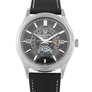Patek Philippe Retrograde Perpetual Calendar White Gold Watch 6159G-001