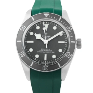Tudor Black Bay 58 925 Silver Watch 79010SG