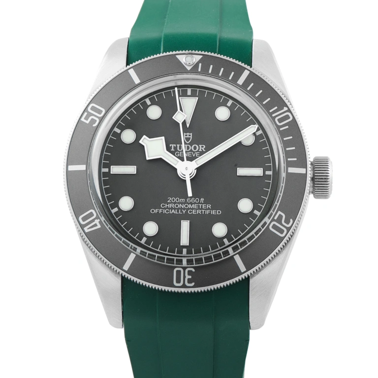Tudor Black Bay 58 925 Silver Watch 79010SG